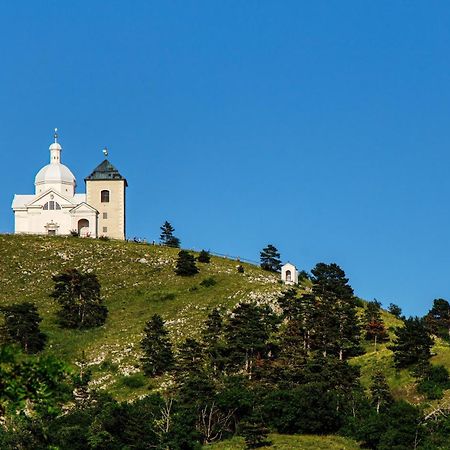 Penzion Terasa Cibulka Mikulov Zewnętrze zdjęcie