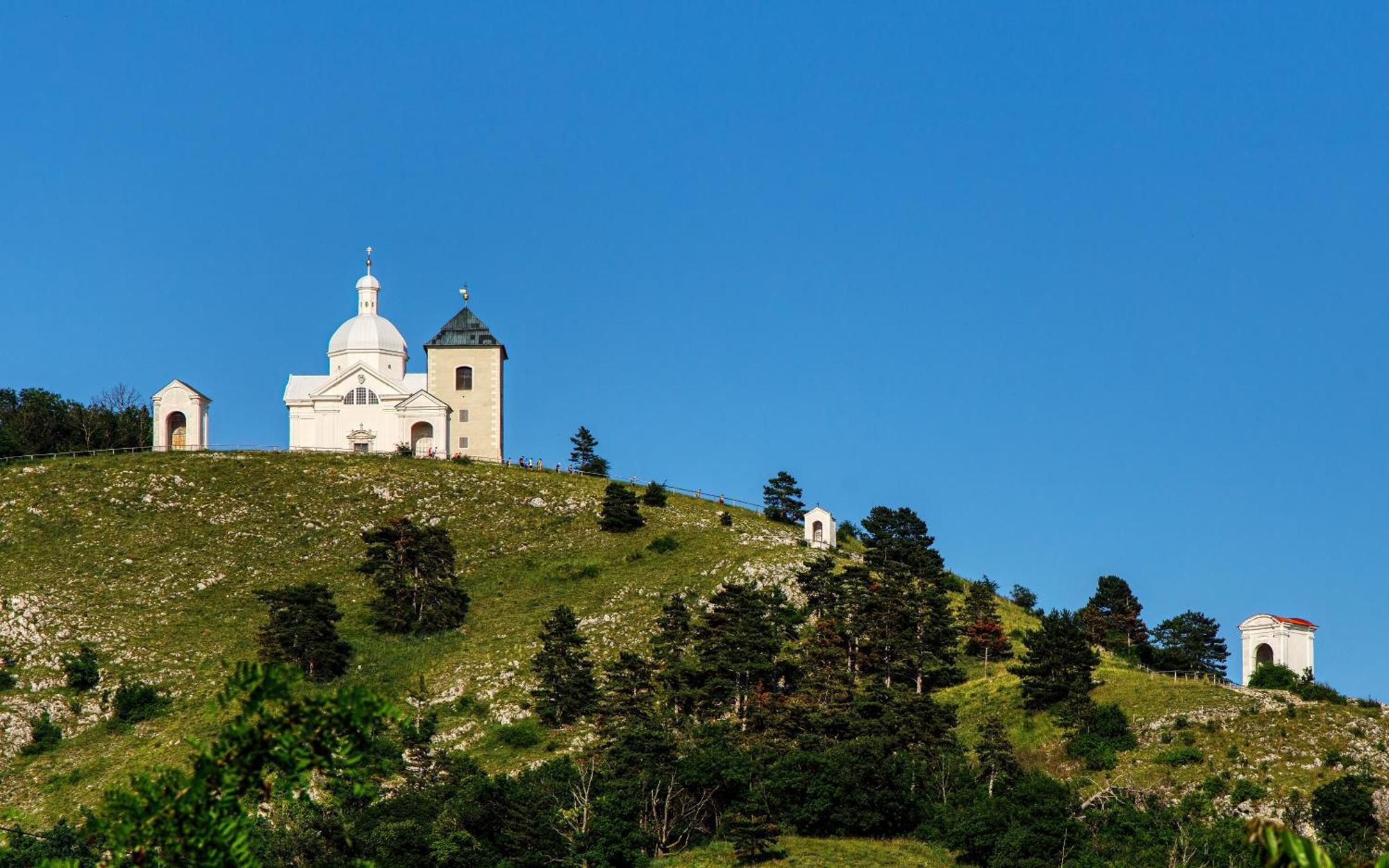 Penzion Terasa Cibulka Mikulov Zewnętrze zdjęcie